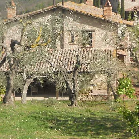 Le Felcete Country House San Venanzo